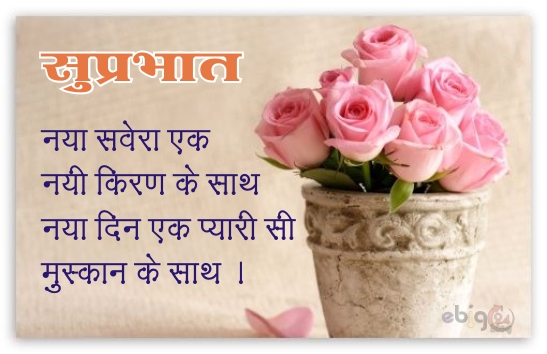 सुप्रभात / good morning message 14 – good morning flowers