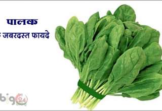 पालक के फायदे पालक खाये सेहत बनाए / palak ke fayde - palak benefits-spinach health benefits