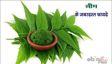 नीम के फायदे /neem ke fayde in hindi - neem se gharelu upchar